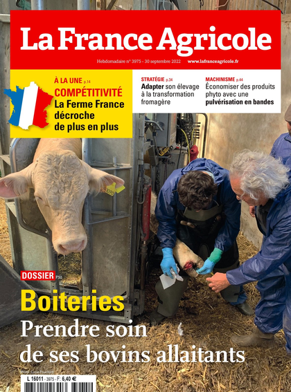 29.09.2022 - N°3975