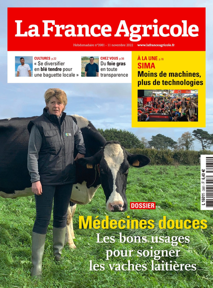 10.11.2022 - N°3981