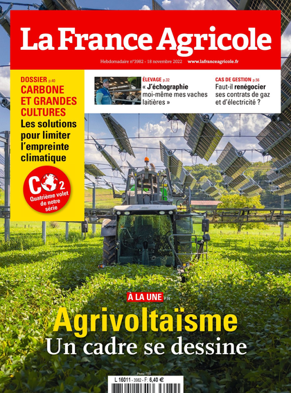 17.11.2022 - N°3982