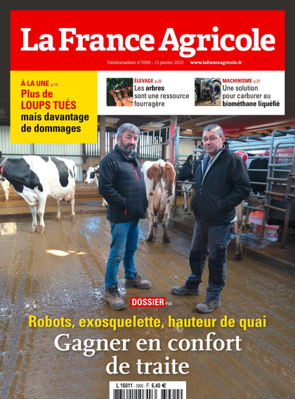 13.01.2023 - N°3990