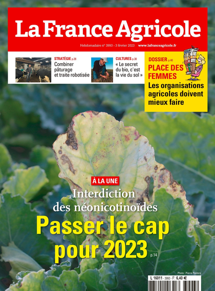 02.02.2023 - N°3993