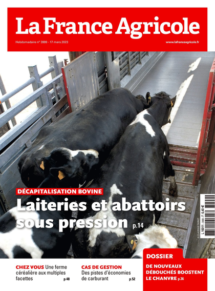 15.03.2023 - N°3999