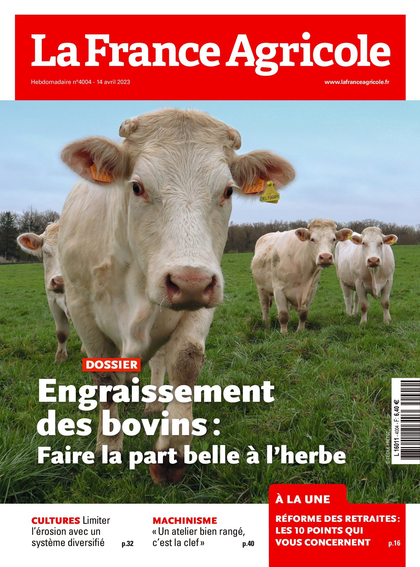 12.04.2023 - N°4004