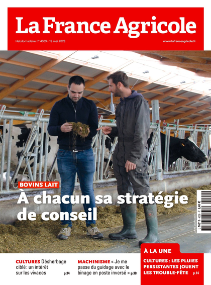 17.05.2023 - N°4009