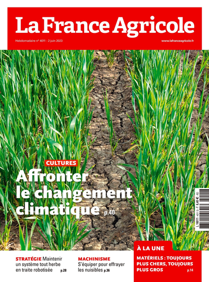 31.05.2023 - N°4011