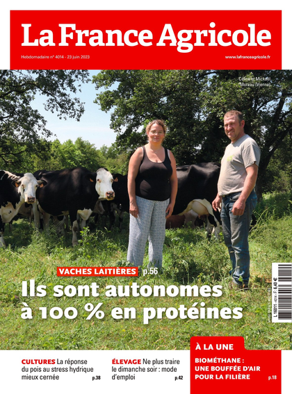 22.06.2023 - N°4014