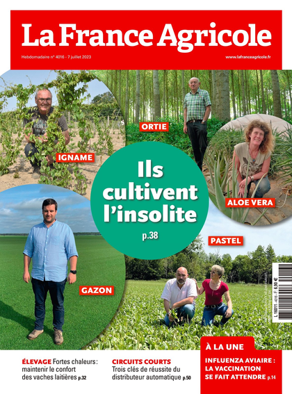 05.07.2023 - N°4016