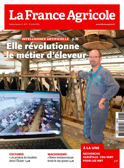 19.07.2023 - N°4017