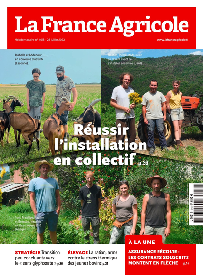 26.07.2023 - N°4018