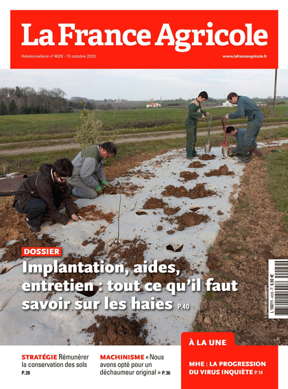 11.10.2023 - N°4029