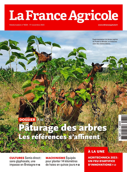 17.11.2023 - N°4034