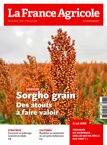 13.12.2023 - N°4038