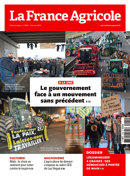 31.01.2024 - N°4045