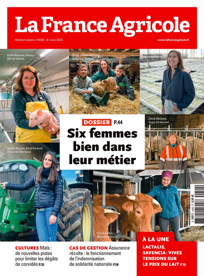 06.03.2024 - N°4050