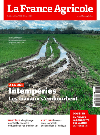 20.03.2024 - N°4052