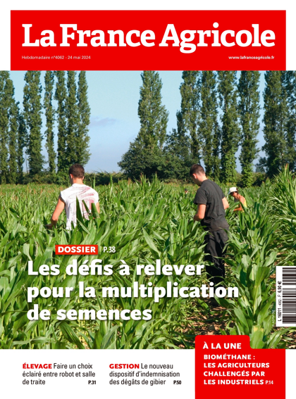 22.05.2024 - N°4062