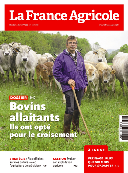 19.06.2024 - N°4066