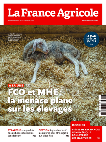 29.07.2024 - N°4070