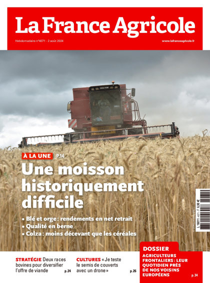 31.07.2024 - N°4071