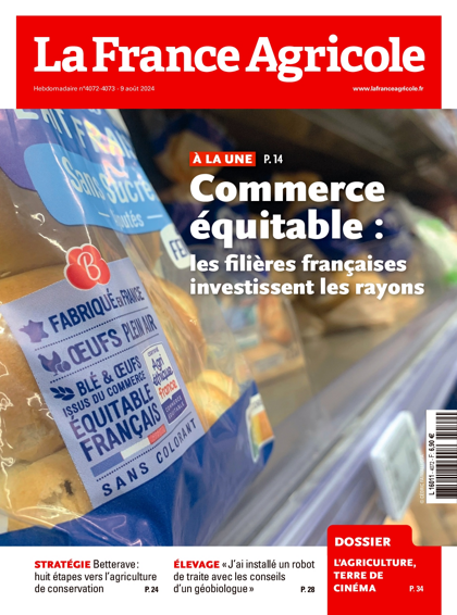 07.08.2024 - N°4072