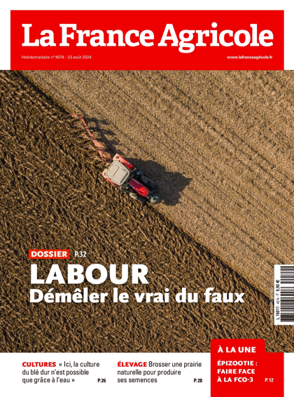 21.08.2024 - N°4074