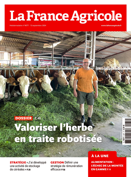 11.09.2024 - N°4077