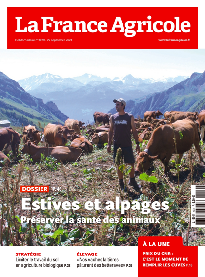 25.09.2024 - N°4079