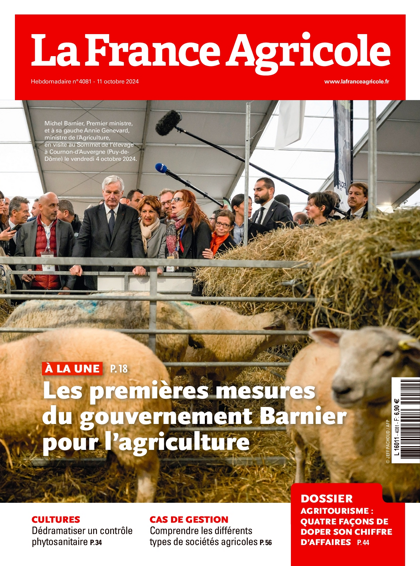 10.10.2024 - N°4081