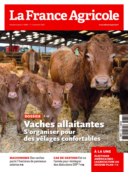 30.10.2024 - N°4084