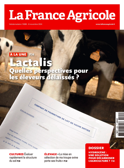 06.11.2024 - N°4085