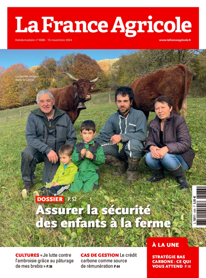 13.11.2024 - N°4086