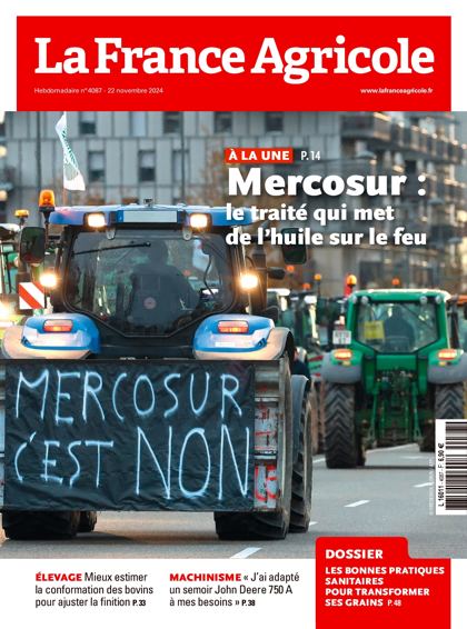 20.11.2024 - N°4087