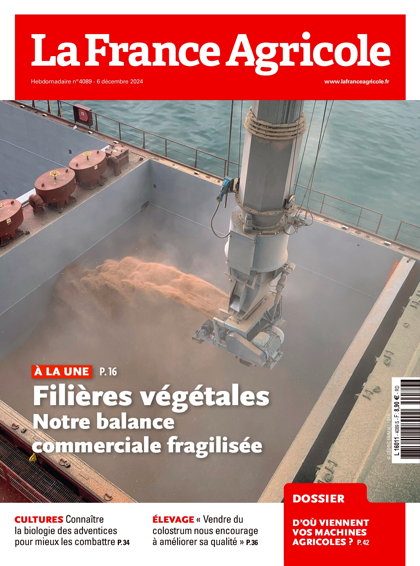 04.12.2024 - N°4089