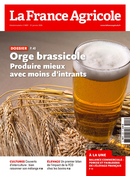 29.01.2025 - N°4097