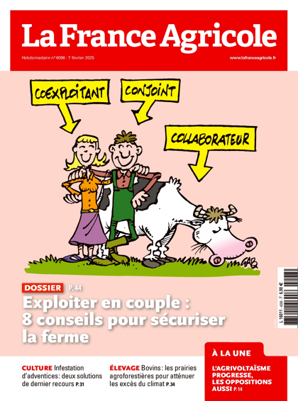 05.02.2025 - N°4098