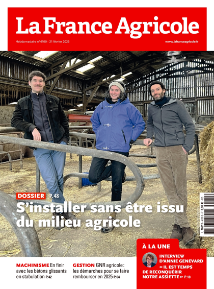 19.02.2025 - N°4100