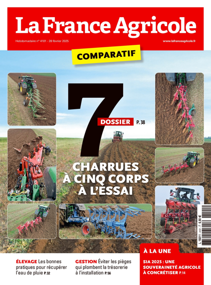 26.02.2025 - N°4101