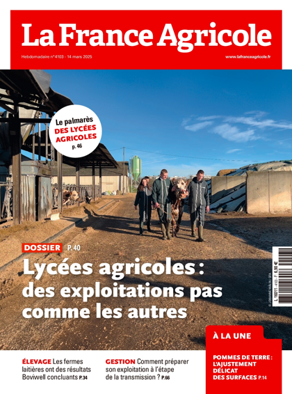 12.03.2025 - N°4103