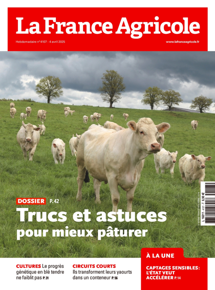 02.04.2025 - N°4107