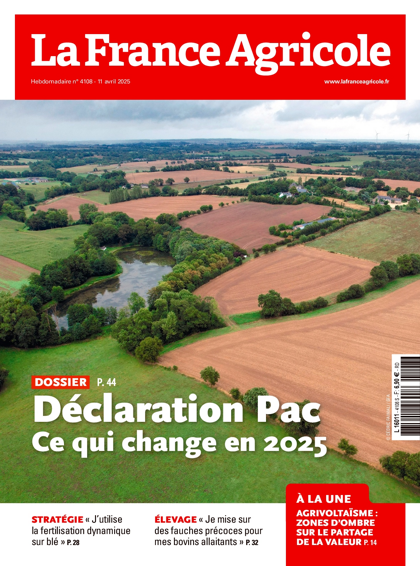 09.04.2025 - N°4108