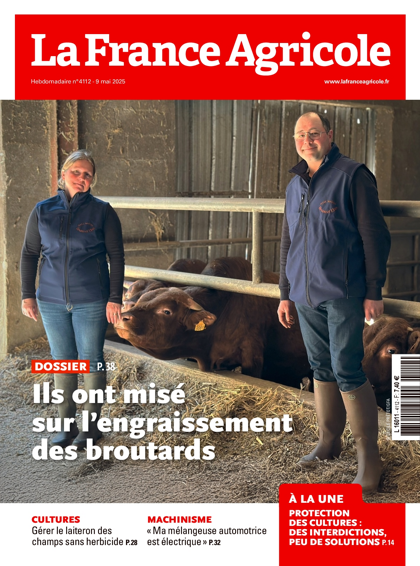 07.05.2025 - N°4112