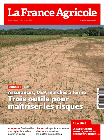 18.06.2025 - N°4119