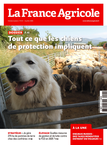 02.07.2025 - N°4121