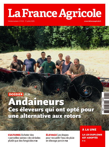 09.07.2025 - N°4122