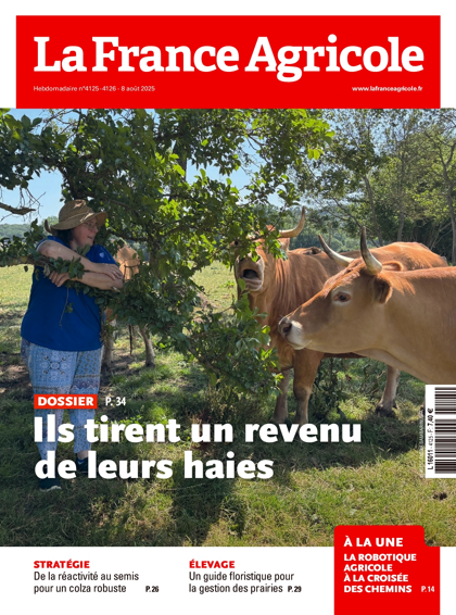 06.08.2025 - N°4125