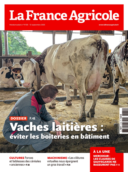 10.09.2025 - N°4130