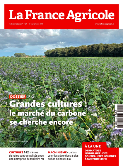 17.09.2025 - N°4131