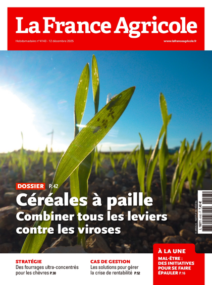 10.12.2025 - N°4143